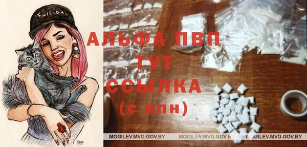 Альфа ПВП Арсеньев